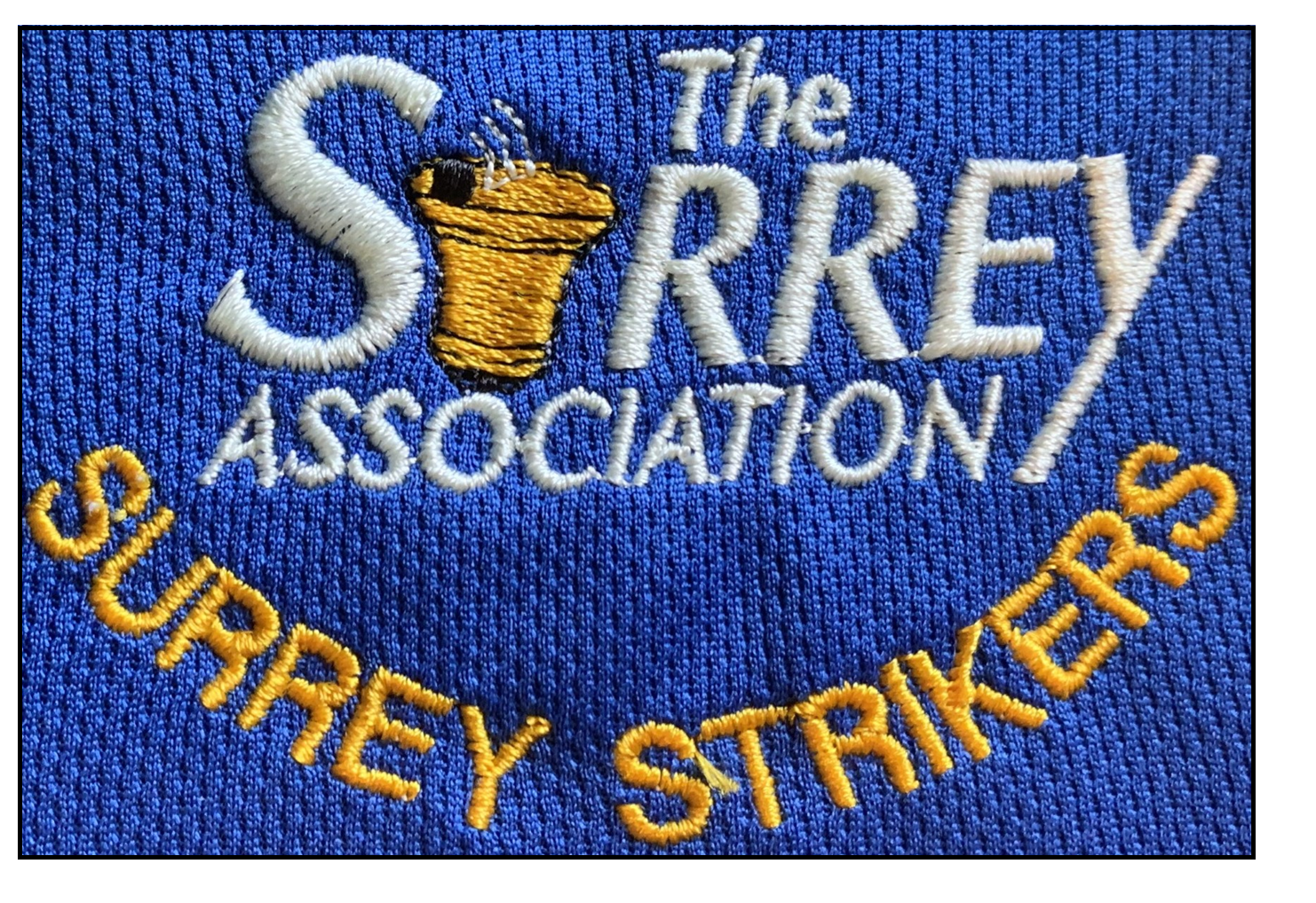 Surrey Strikers logo